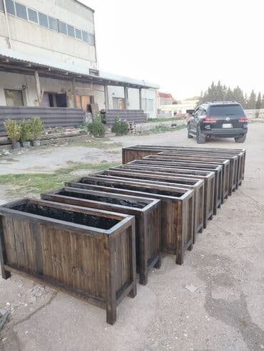 bitkiler: Dibçək güldanlar. Dipçəklər bir başa sexdən.Sex qiymətinə. ♦️Endrim — 4