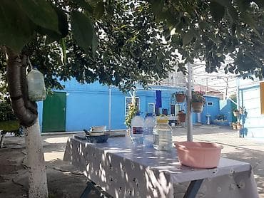 ucuz tül perdeler: Heyat evi — 5