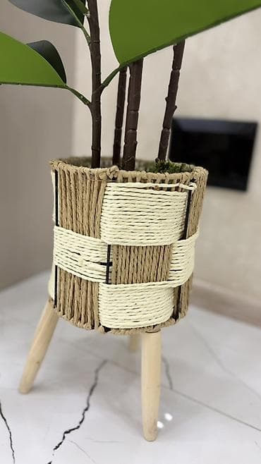 süni yarpaq: Dekorativ böyük ev bitkisi – kauçuk ağacı (Ficus elastica) görünüşlü — 3