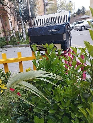 bayan: Bayandır düyməli akkordeon Məhsul təsviri: - Klaviatura tərəfi — 7