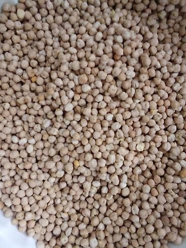 Noxud – quru hal Məhsul təsviri: - Təmizlənmiş, ələnmiş quru noxud - — 1