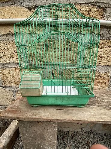 qəfəs: Quş qəfəsi – metal karkaslı, yaşıl rəngdə - Material: toz boya ilə — 3