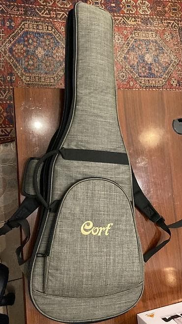 Elektro gitaralar: Elektron gitara, 6 sim — 4