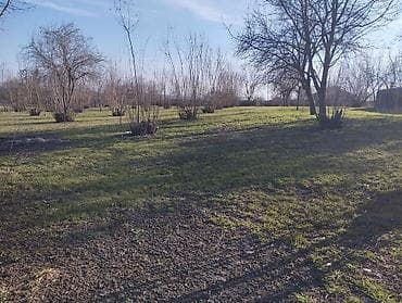 boş evler kiraye: Tikinti — 9