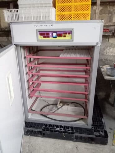 Avtoservis avadanlıqları: 1100 yumurta, Çin, Bütün növ quşlaq üçün — 1