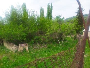 Yaşıl otlar və müxtəlif ağaclarla örtülmüş, yamaclı ərazidə yerləşən lalafo.az -da Yaşıl otlar və müxtəlif ağaclarla örtülmüş, yamaclı ərazidə yerləşən