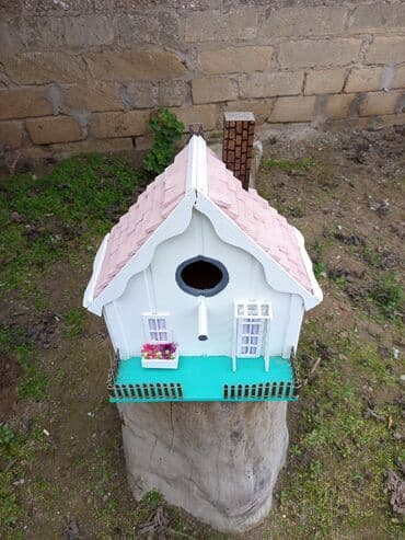 dibcək gulu: Quş Yuvasi — 1