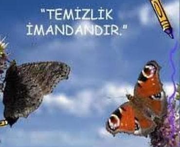 plastik qapi gence: Təmizlik | Evlər | Ümumi təmizlik — 1