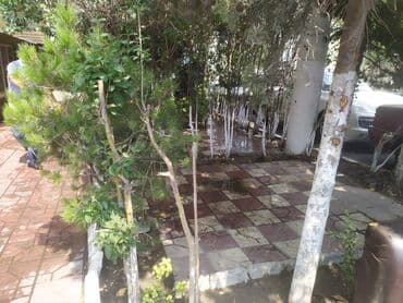 obyek: Nərimanov metrosuna yaxın yerləşən Əliyər Əliev küçəsində yerləşən — 8