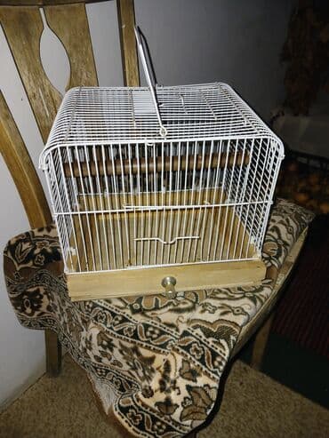 quş hini: Qefes — 1