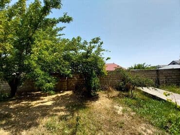 ramanada evler: Bakı, Novxanı, 230 kv. m, 6 otaqlı, Hovuzlu, Kanalizasiya, Qaz, Su — 16