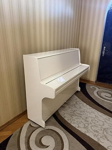 Elektrik nəqliyyatı: Piano, Zimmermann, Akustik — 5