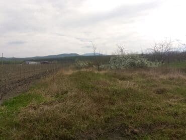 xacmaz rayonu qusarcay kendi: Kənd təsərrüfatı — 26