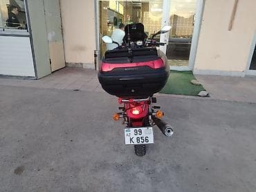moped kuba: - freedom, 130 sm3, 2024 il — 2