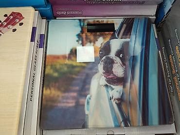 tərəzi daşları: Döşəmə tərəziləri, 180 kq, Pulsuz çatdırılma, Rayonlara çatdırılma, Ödənişli çatdırılma — 1