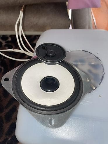 playstation 4 oyunlar: 4 düymlük (təxminən 10 sm) kvadrat montajlı dinamik və ayrıca kiçik — 1