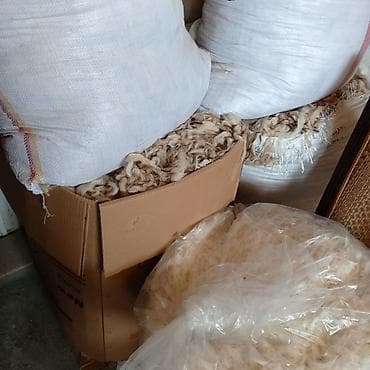 ipler: Təbii qoyun yunu – çuvallarda və paketlərdə - Məhsul: Yaxşı — 1