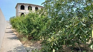 guba: 12 sot, Tikinti, Mülkiyyətçi, Kupça (Çıxarış) — 2