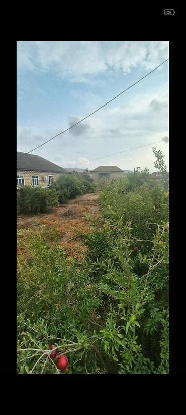 gence muxtar haciyev kucesi: 9 otaq, 130 kv. m, Orta təmir — 8