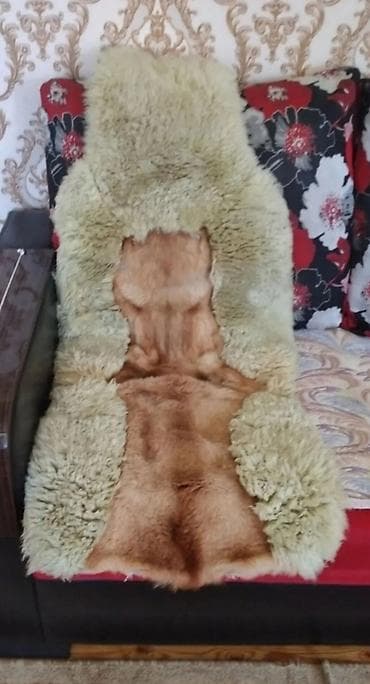 disk 17 lik: Avtoqoltuq üçün təbii yun/deri üzlük - Model: universal ölçülü bir — 1