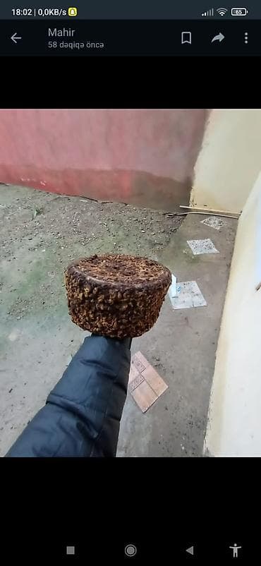 qelyan tap az: Sabirabada qedimi papaq satlır 2 dene — 1