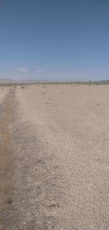 torpax sahesi: Biznes üçün, Maklerlər narahat etməsin, Kupça (Çıxarış) — 6