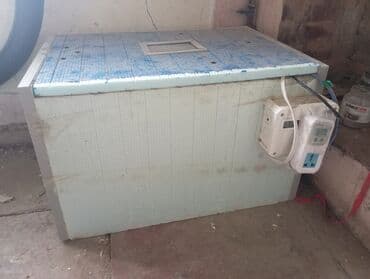 инкубатор для яиц: Yumurta sayı 120 ədəd inkubatoru – elektriklə işləyən — 2