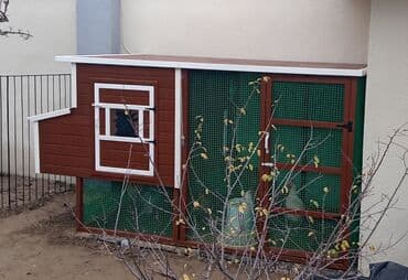 quş yuvası: Tuyuq yuvası Hin sifarişlə hazırlanması istənilən ölçüdə tam — 12