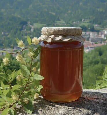 təbii bal: Hər növ balımız özünəməxsus dad və fayda ilə seçilir: 🌰 Şabalıd balı – — 1
