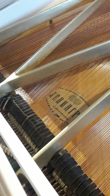 piano dersleri baki: Royal Красный Октябрь Rusiya stehsalı. Dvaynoy repiditsiya mexanika — 1