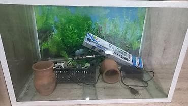 deniz qurdu satisi: Dördbucaq akvarium, Boş, 135 l, Ünvandan götürmə — 7