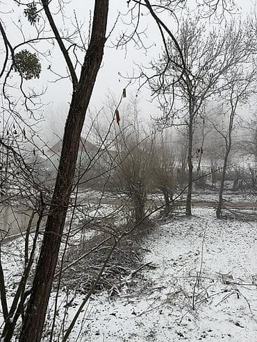 berdede torpaq satilir: 4 sot, Tikinti, Maklerlər narahat etməsin, Kupça (Çıxarış) — 5