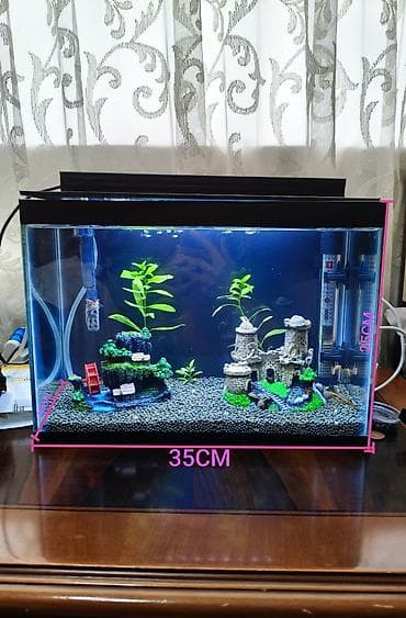 heyvan: Dördbucaq akvarium, Boş, 14 l, Ödənişli çatdırılma — 2