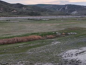 Kənd təsərrüfatı, Kupça (Çıxarış), Müqavilə