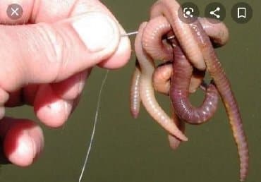 бинокль купить в баку: Ovçuluq və balıqçılıq — 2