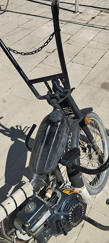 zigzag moped: - JACKAL 200 sm3, 2024 il, 666 km — 3