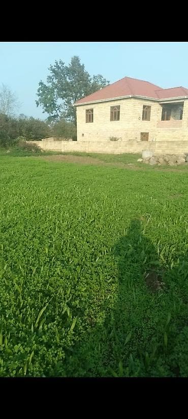 Torpaq: Tikinti — 2