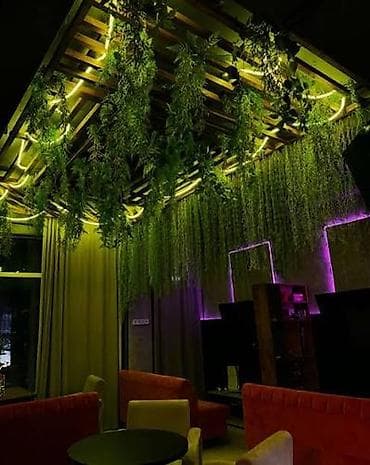 zeleniy cay: Green House Azerbaijan. Dekor interyer Kafe×restoranlar üçün — 8