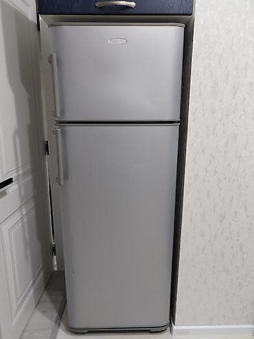 2 qapılı Biryusa Soyuducu Satılır, rəng - Gümüşü