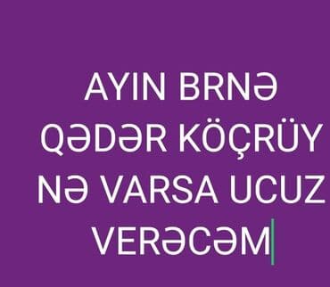 Toyota: Kurtkalar — 1