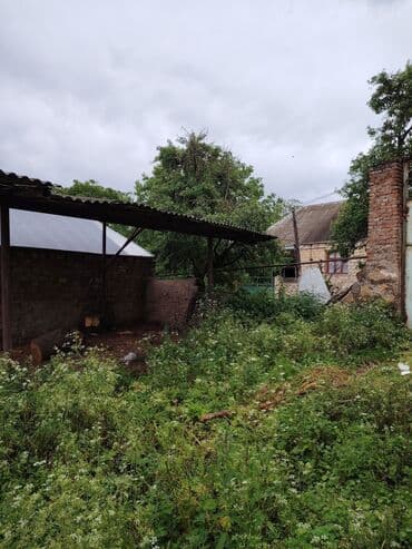 yeni günəşlidə kirayə ev: 33 sot, Tikinti, Maklerlər narahat etməsin, Kupça (Çıxarış) — 3