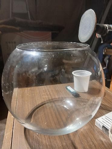 ev heyvanlarının satışı: Yumru akvarium, Boş, 5 l, Ödənişli çatdırılma — 3