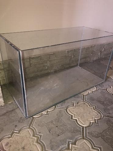 akva ayaqabılar: Şüşə akvarium - Material: qalın, şəffaf şüşə (yapışdırma xətləri — 2