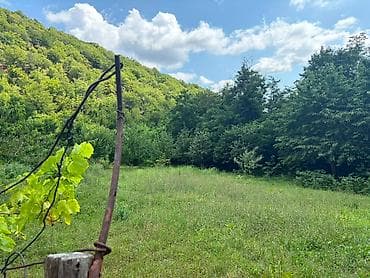 şeki: 37 sot, Biznes üçün, Mülkiyyətçi, Müqavilə — 9
