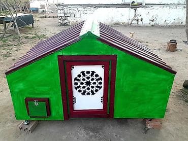 buynuzlu heyvanlar: Taxta toyuq/qartalxana (quş kümesi) - Material: möhkəm taxta karkas — 1