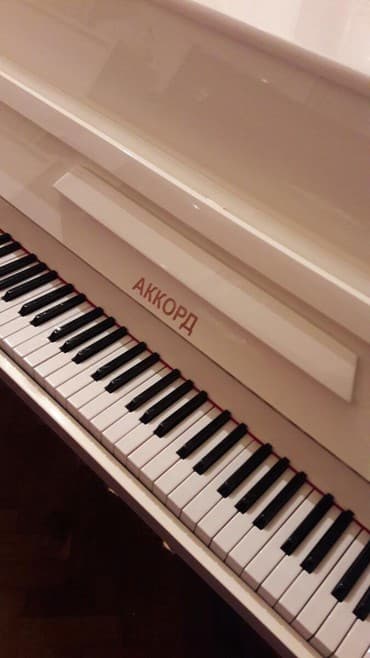 terlan elekberov: Pianino Ağ rəngdə. Cadırılma və köklənmə pulsuzdu. Zəmanət verir — 1