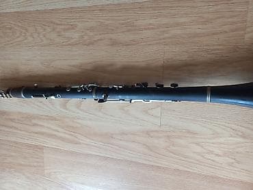 Духовые инструменты: Islek vezyetdedi rudolf firmasidi hec bir prablemi yoxdu real aliciya — 5
