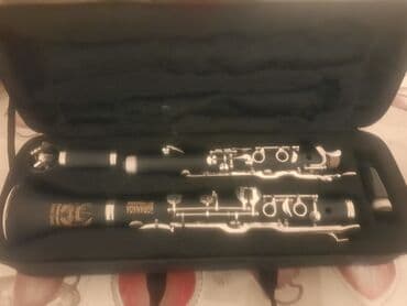 чехлы для скрипки: Sol klarnet.Problemi yoxdu idealdı — 1