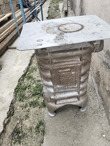 Саженцы растений: Ceyran peçi satılır — 3