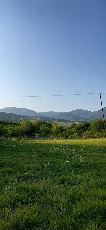 zabratda torpaq satilir: 50 sot, Mülkiyyətçi, Bələdiyyə — 2
